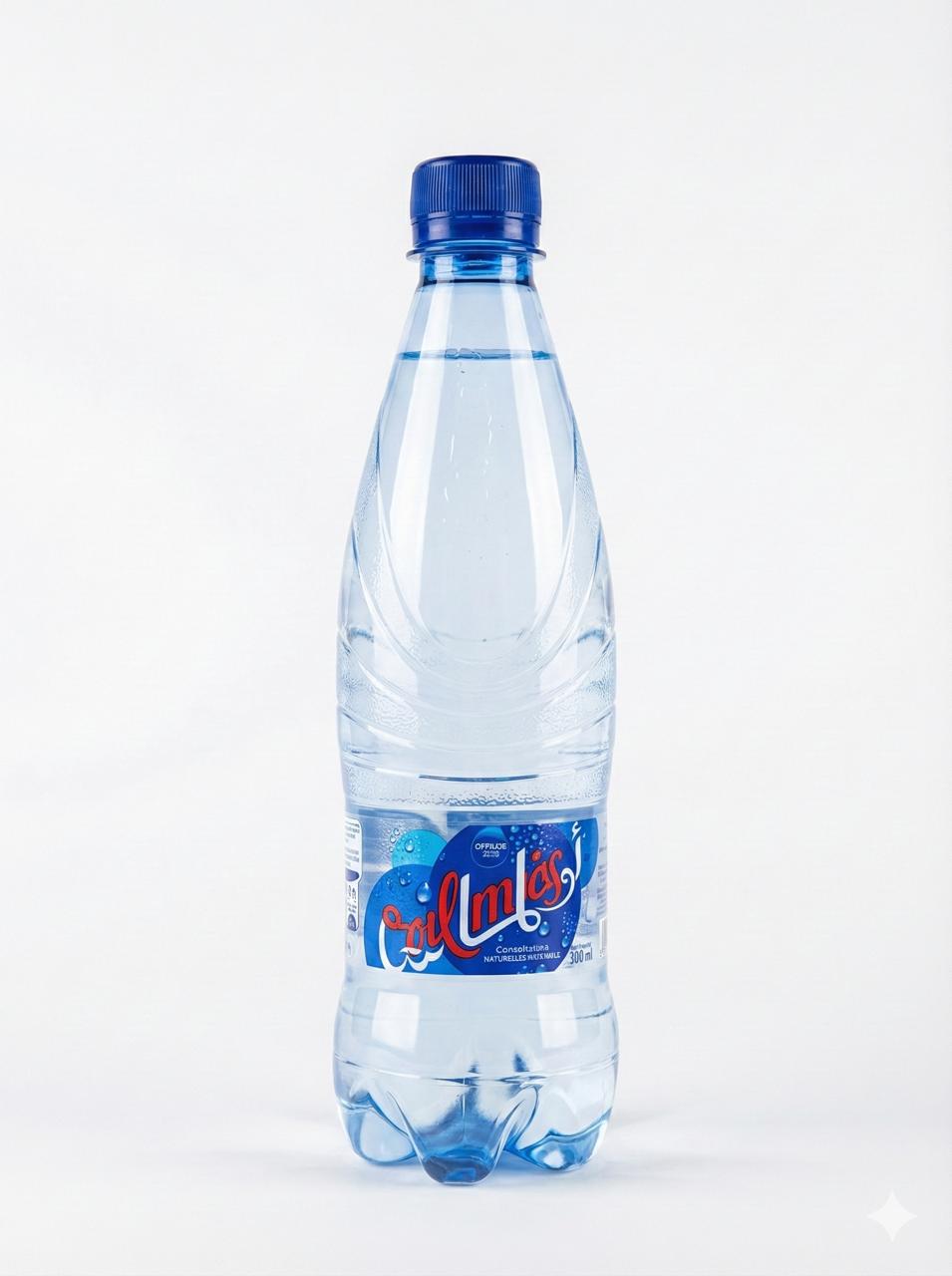 Oulmès Eau Gazeuse (30CL)